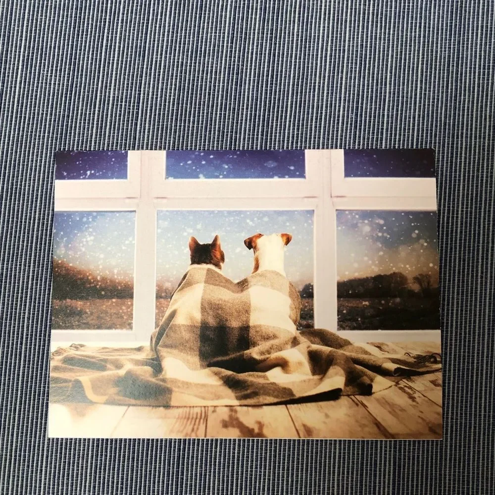 Five (5) Animal Holiday Cards